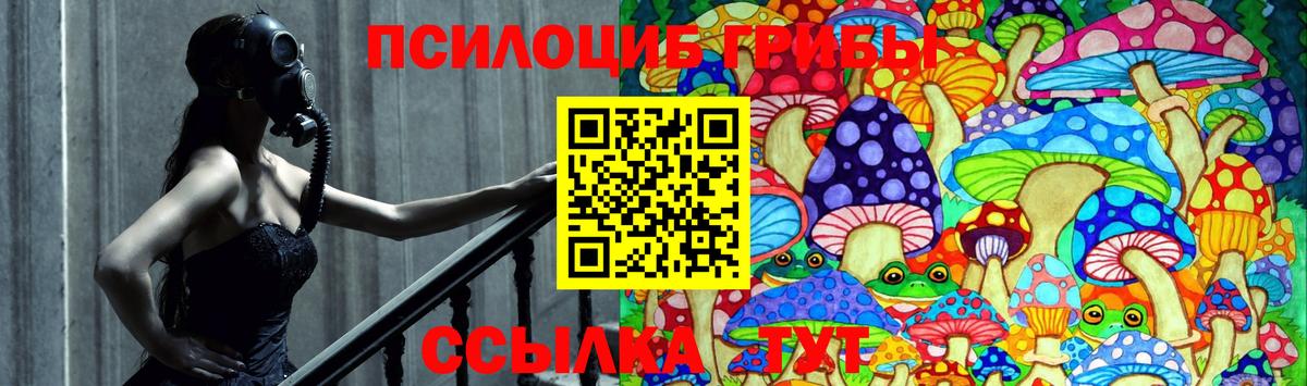Псилоцибиновые грибы MAGIC MUSHROOMS  Вход с VPN  купить наркоту  Отрадный 