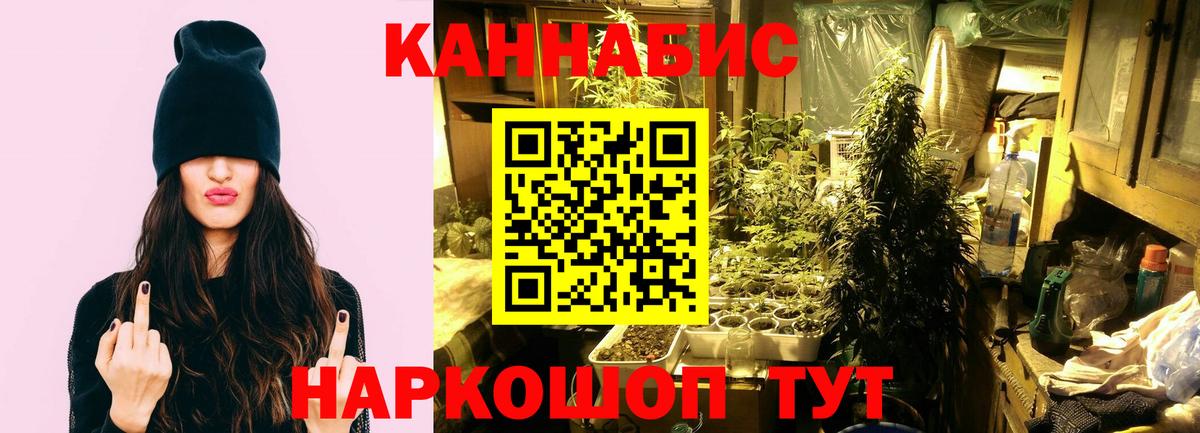 Каннабис MAZAR Отрадный